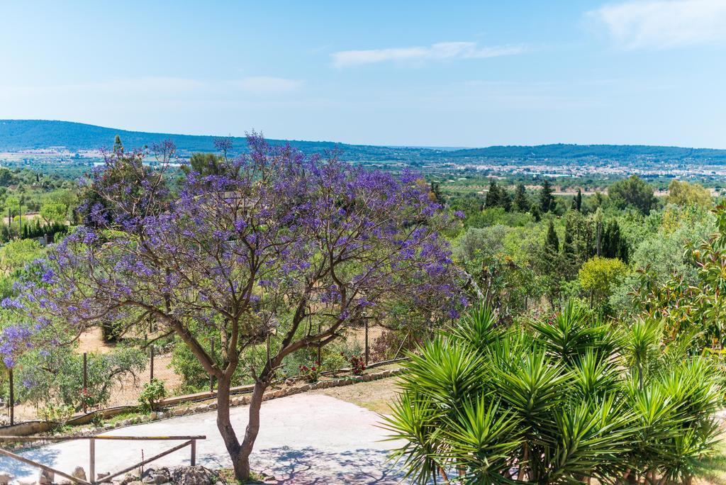 Es Pinar Villa Alaro Exterior photo